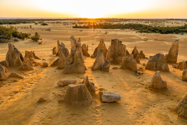 pinnacles desert discovery nambung national park