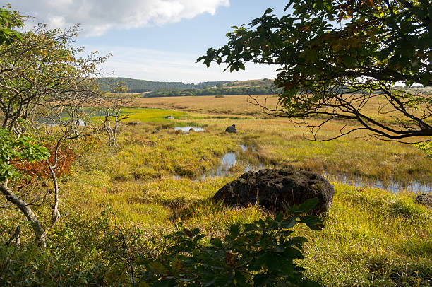 cleland conservation park