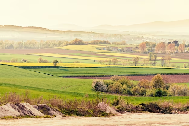 Barossa Valley Review: A Disappointing Wine Experience – Honest Traveller’s Perspective