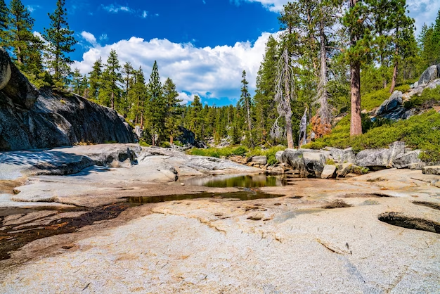 Landscapes on the Colorado Trail: discover the beauty of mountain wilderness on a popular route