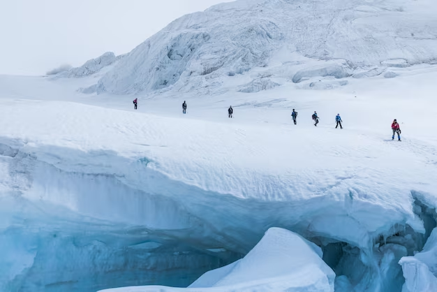The Hardy Inhabitants of the Frozen Continent