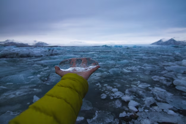 Why you can't leave anything in Antarctica: preventing environmental damage