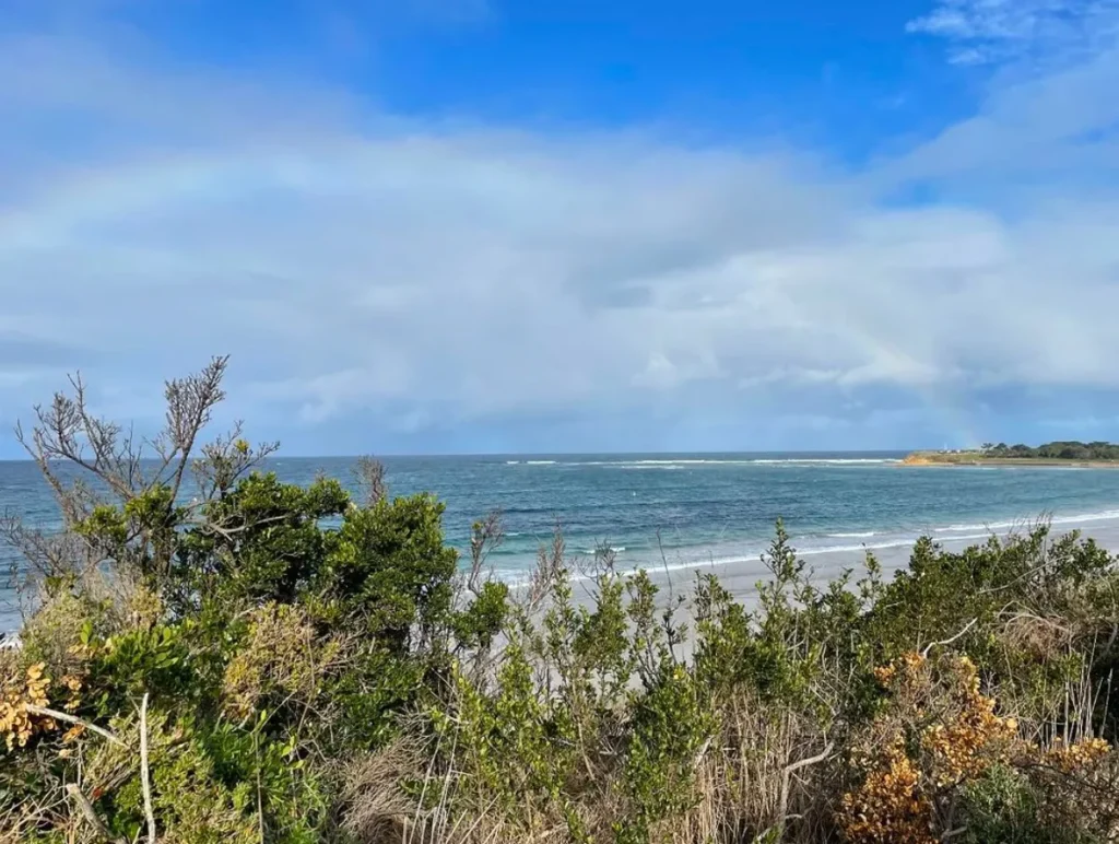 Torquay to Anglesea (30 km)