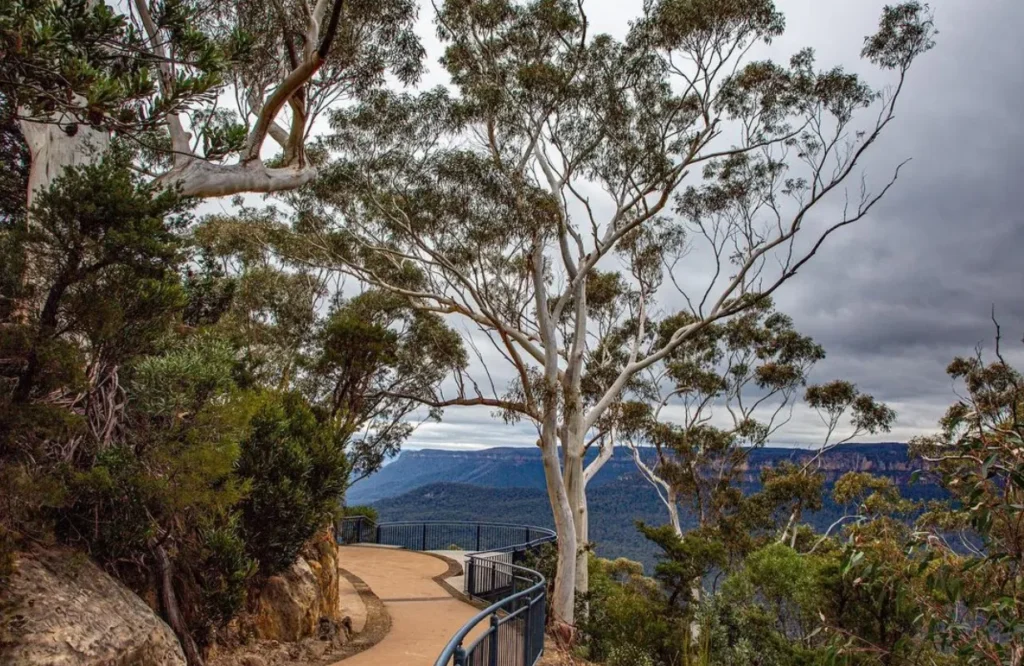 Oreades Lookout
