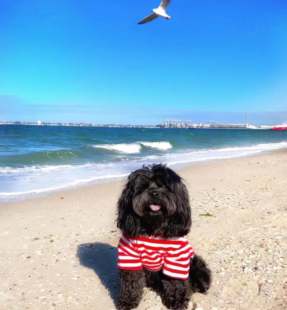 South Melbourne Beach