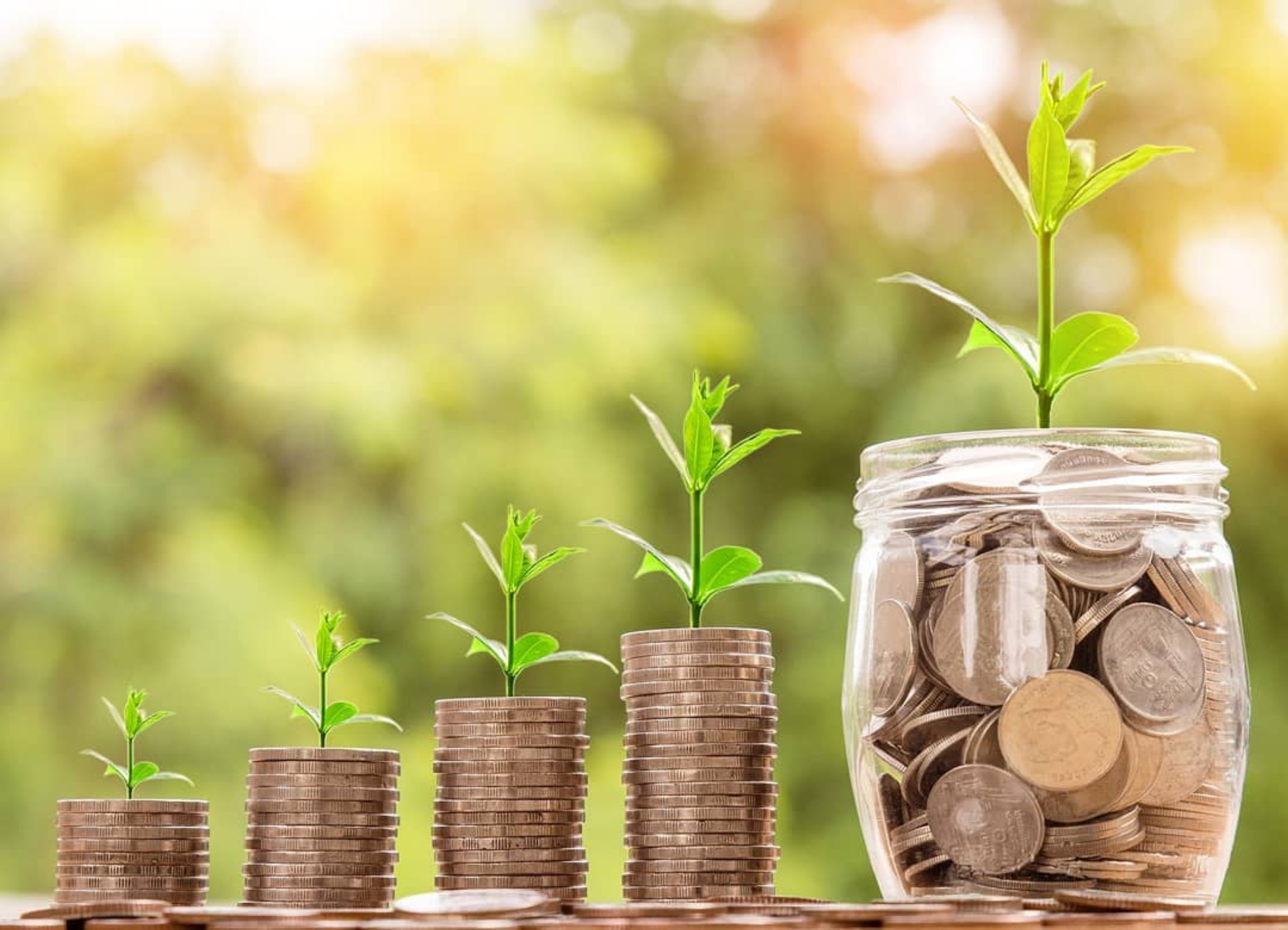 cash flow management